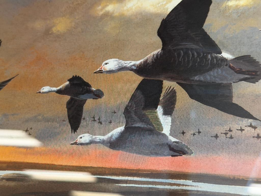 JOHN COWAN DUCKS UNLIMITED FLYWAY COLLECTION LIMITED EDITION PRINT SNOWS AT DAWN NO. 207/5300 - 4