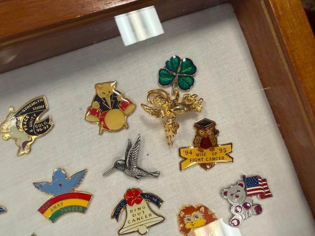 COLLECTION OF OVER 80 PLUS PINS VA MEDICAL CENTER, VOLUNTEER, MILITARY, INDY 500, ETC. - 9
