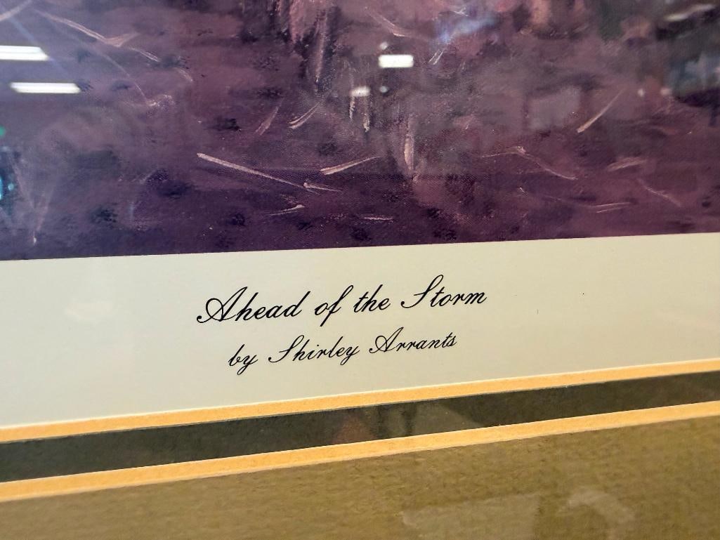 SHIRLEY ARRANTS WILDLIFE ARTIST LIMITED EDITION PRINT AHEAD OF THE STORM NO. 584/800 - 4