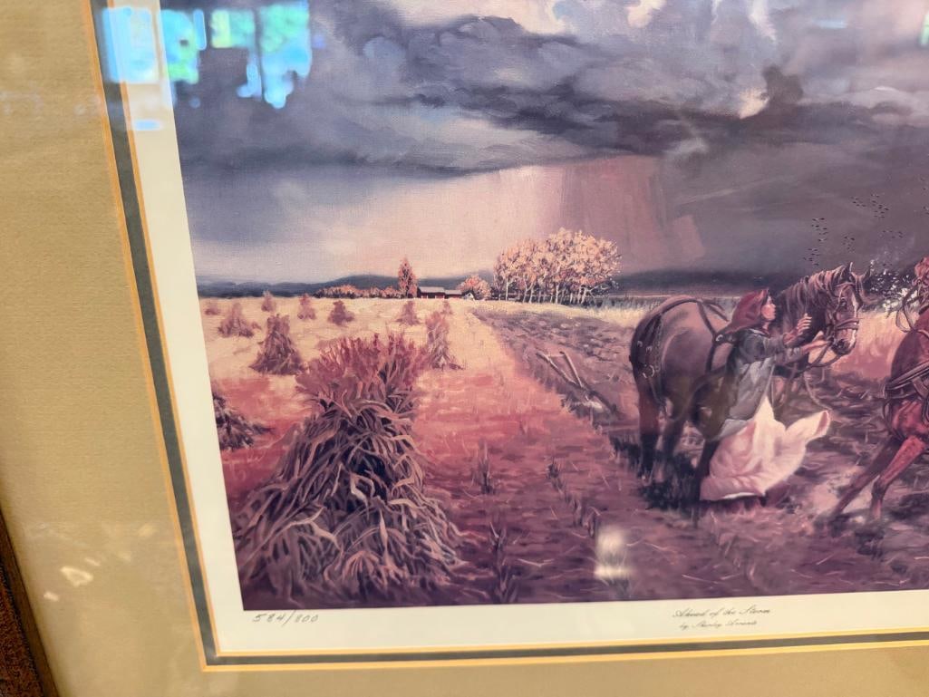 SHIRLEY ARRANTS WILDLIFE ARTIST LIMITED EDITION PRINT AHEAD OF THE STORM NO. 584/800 - 9