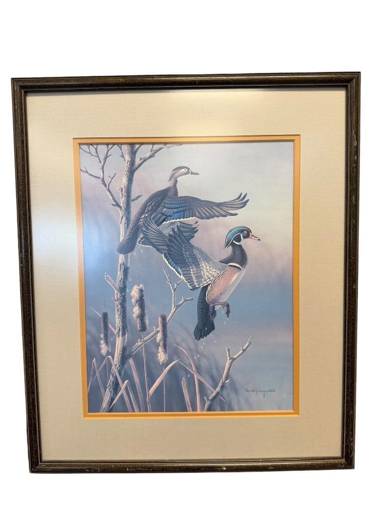 RONALD LOUQUE WILDLIFE ARTIST WOOD DUCKS MALE AND FEMALE PRINT: PLATE SIGNED LOWER RIGHT, FRAMED 19" X 22 1/2" FRAME