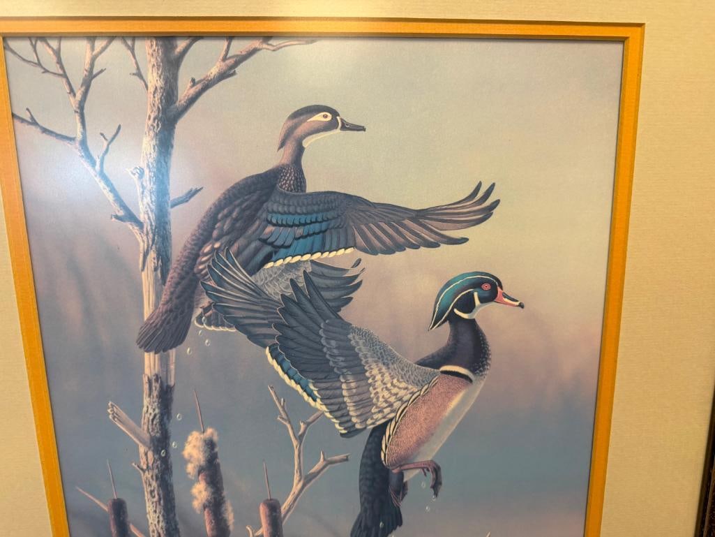 RONALD LOUQUE WILDLIFE ARTIST WOOD DUCKS MALE AND FEMALE PRINT - 5