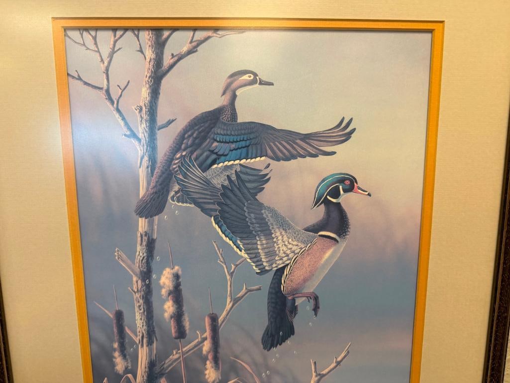RONALD LOUQUE WILDLIFE ARTIST WOOD DUCKS MALE AND FEMALE PRINT - 6