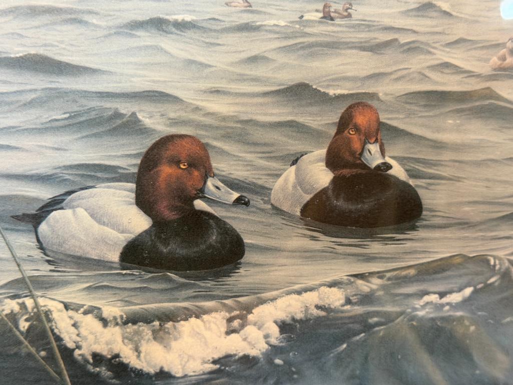 DANIEL SMITH DUCKS UNLIMITED ARTIST CONSERVATION EDITION PRINT NORTH AMERICA CANVASBACK DUCKS - 2