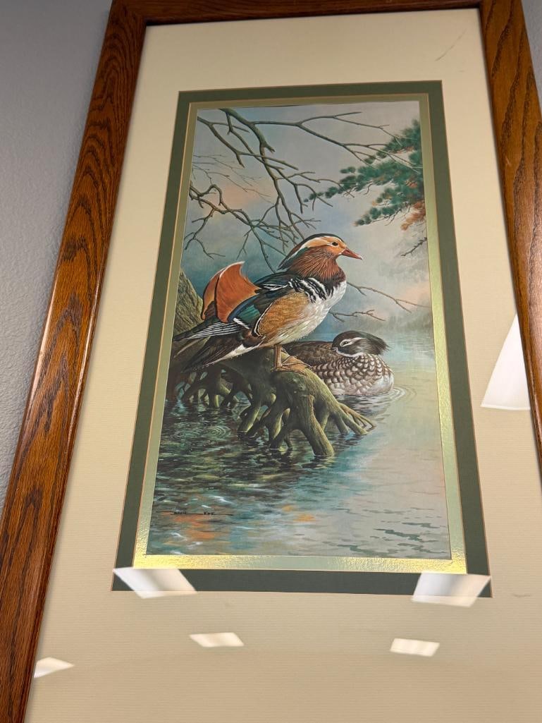 BASIL EDE WILDLIFE ARTIST PRINT OF MADARIN DUCKS - 2