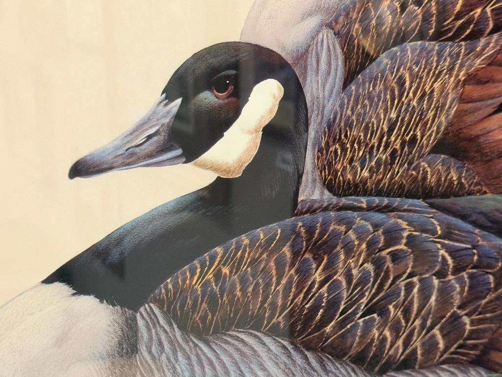 ART LAMAY MEDALLIN SERIES LIMITED EDITION PRINT TITLED CANADAS NO. 2082/5300 - 3