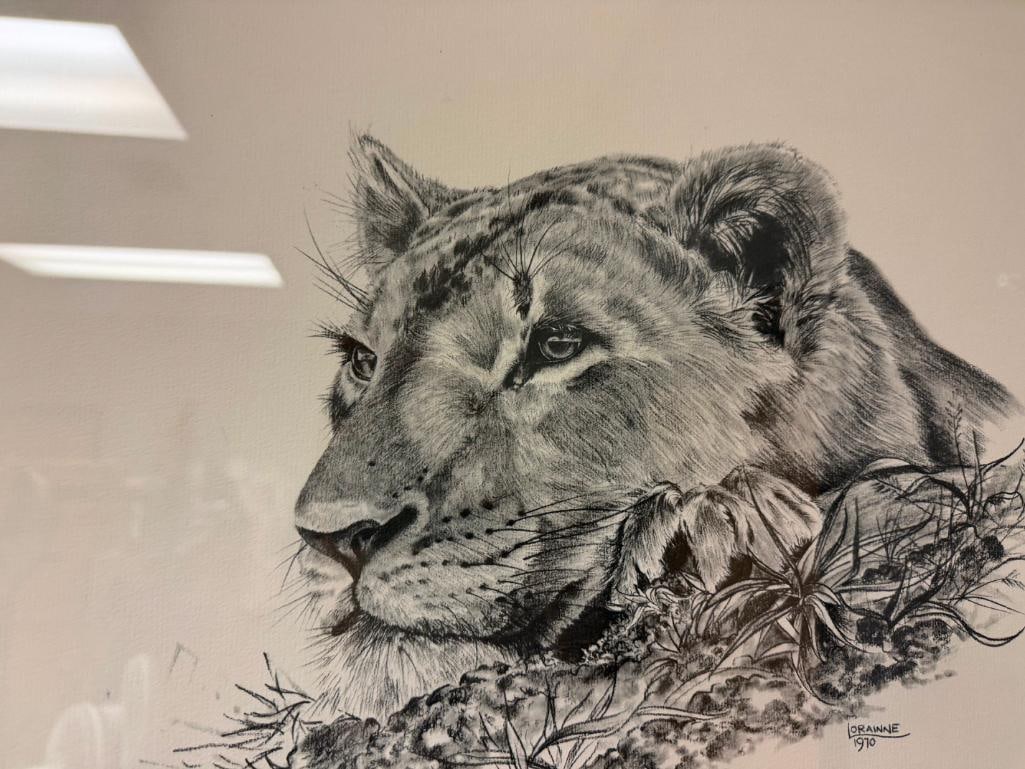 PAIR OF OFFSET LITHOGRAPH PRINTS OF MALE AND FEMALE LION BUSTS BY LORAINNE - 13
