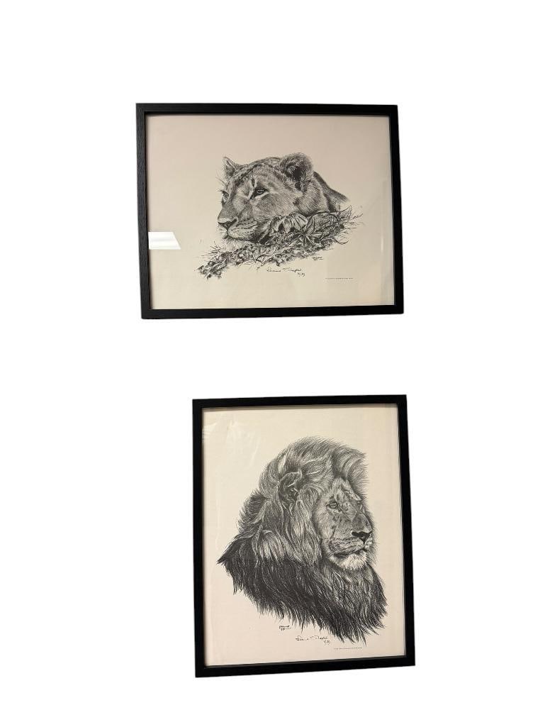 PAIR OF OFFSET LITHOGRAPH PRINTS OF MALE AND FEMALE LION BUSTS BY LORAINNE (1 of 13)