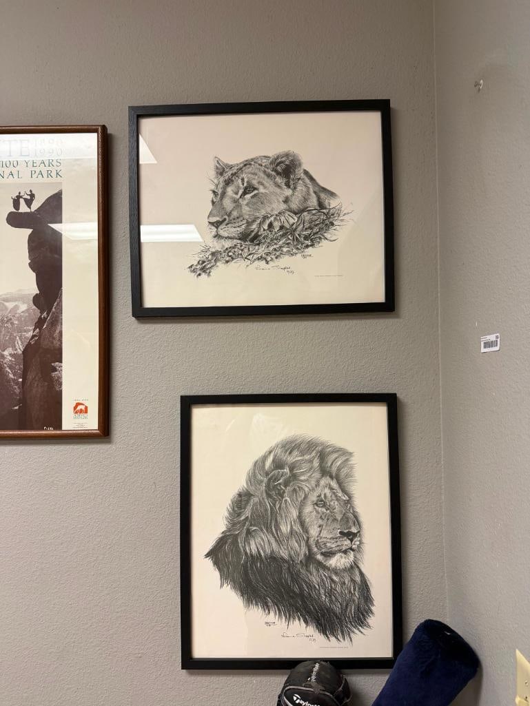 PAIR OF OFFSET LITHOGRAPH PRINTS OF MALE AND FEMALE LION BUSTS BY LORAINNE - 2