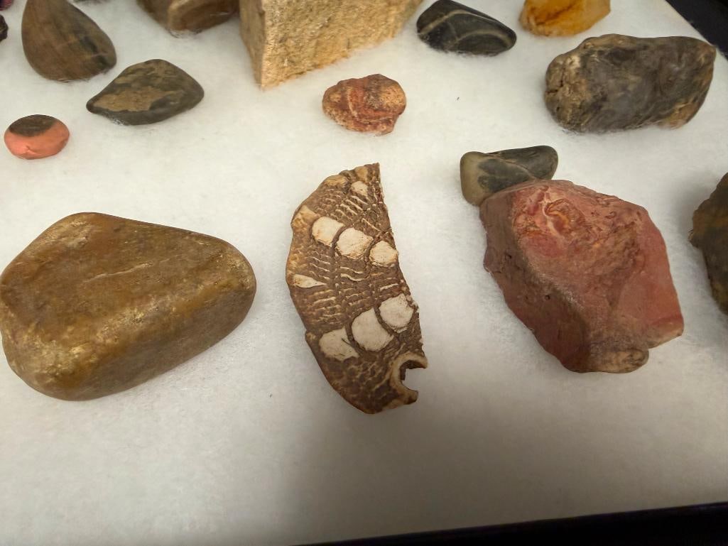 ASSORTED GEOLOGICAL SPECIMENS, FOSSILS, AND NATIVE AMERICAN TRADE BEADS - 5