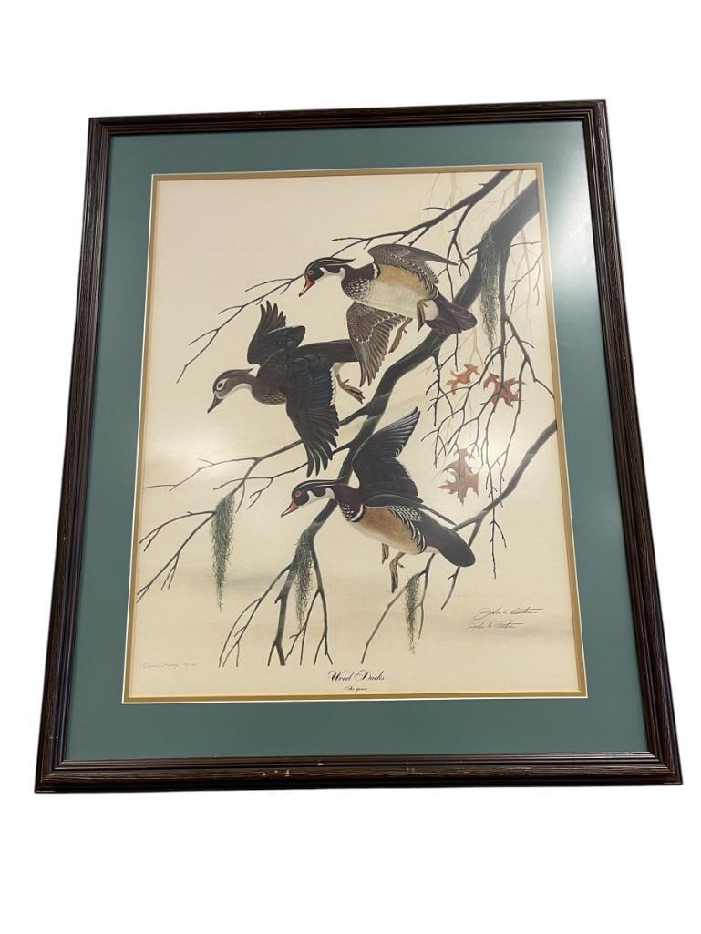 JOHN A. RUTHVEN AMERICAN WILDLIFE ARTIST OWNER PROOF LIMITED EDITION PRINT WOOD DUCKS: JOHN A. RUTHVEN (1924-2020) WAS AN AMERICAN ARTIST KNOWN FOR HIS WILDLIFE PAINTNGS, ART DEPICTS WOOD DUCKSIN FLIGHT NEAR TREE, SIGNED LOWER RIGHT, NO 76/125 OWNER PROOF, FRAMED 29" X 36" FRAME