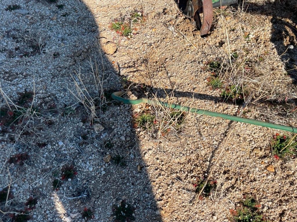 ANTIQUE INDUSTRIAL STEEL CONTAINER ON METAL CART - 5