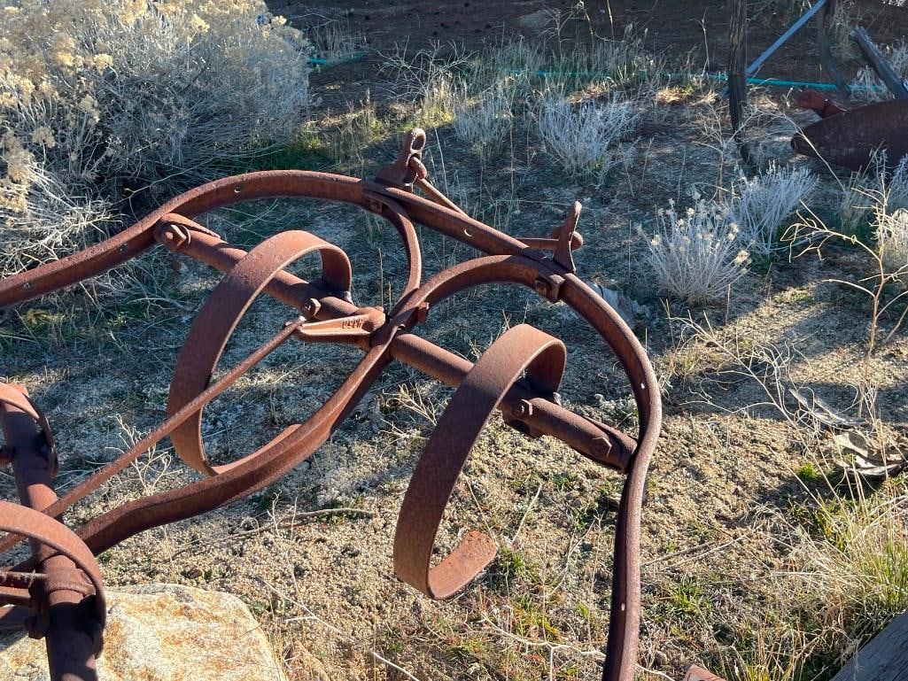 ANTIQUE STEEL FARMING IMPLEMENT HORSE DRAWN FARM CULTIVATOR PLOW SPRING TOOTH HARROW - 4