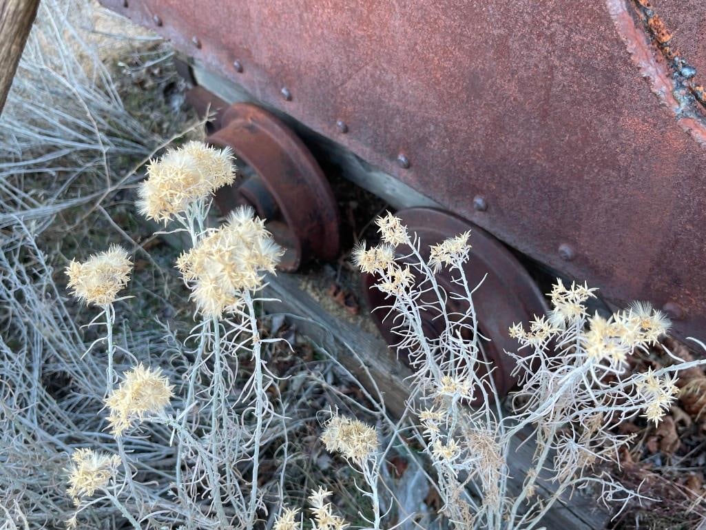 ANTIQUE MINING CART AND ACCESORIES - 7