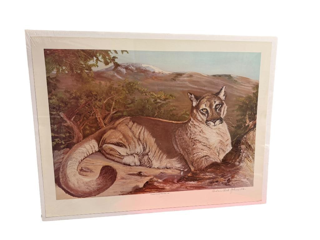 " PINENUT RANGE MOUNTAIN LION " SIGNED PRINT BY ANDREW "DICK" JOHNSON DATED 1978 (1 of 8)