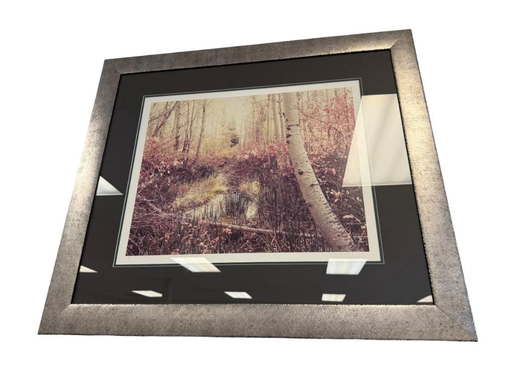STEVE SOLINSKY LIMITED EDITION PHOTOGRAPH LANDSCAPE (1 of 8)