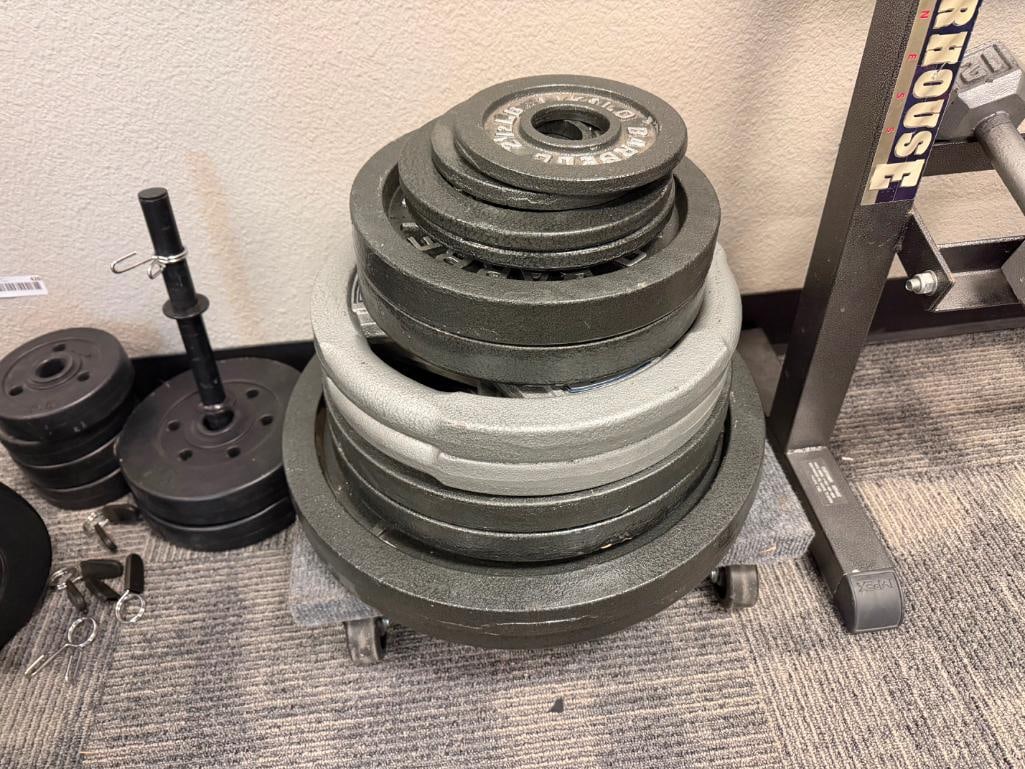 CAST IRON OLYMPIC WEIGHT LIFTING PLATES (2) 2 1/2 LBS, (2) 5 LBS, (2) 25 LBS, (4) 35 LBS, (2) 45 ... - 2