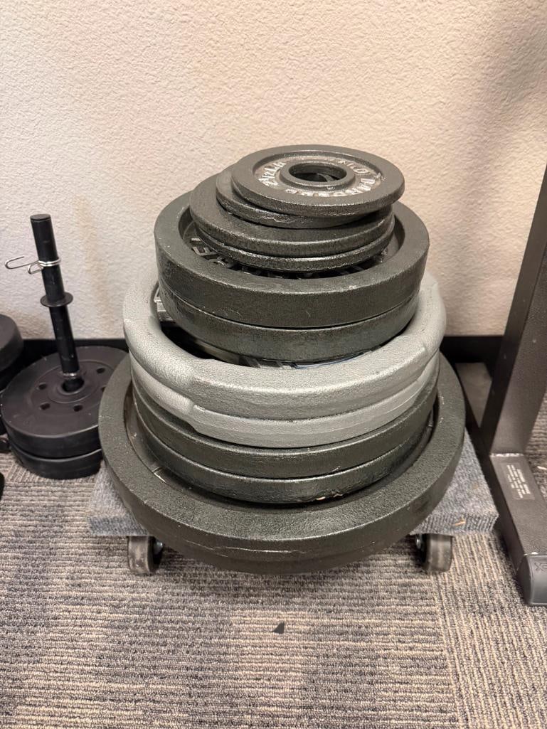CAST IRON OLYMPIC WEIGHT LIFTING PLATES (2) 2 1/2 LBS, (2) 5 LBS, (2) 25 LBS, (4) 35 LBS, (2) 45 ... - 3