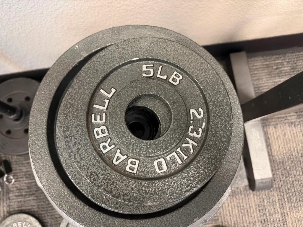 CAST IRON OLYMPIC WEIGHT LIFTING PLATES (2) 2 1/2 LBS, (2) 5 LBS, (2) 25 LBS, (4) 35 LBS, (2) 45 ... - 5