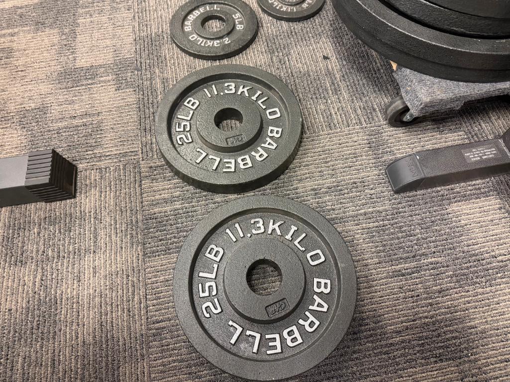 CAST IRON OLYMPIC WEIGHT LIFTING PLATES (2) 2 1/2 LBS, (2) 5 LBS, (2) 25 LBS, (4) 35 LBS, (2) 45 ... - 6