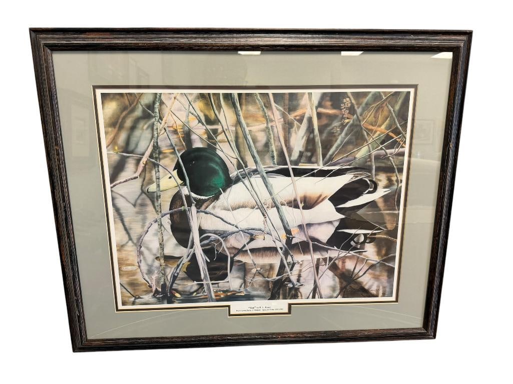 P/L/ PREUIT DUCKS UNLIMITED ARTIST LIMITED EDITION PRINT TITLED GUS OF A MALLARD DUCK NO. 655/1000: SIGNED LOWER RIGHT, FRAMED 33" X 27" FRAME