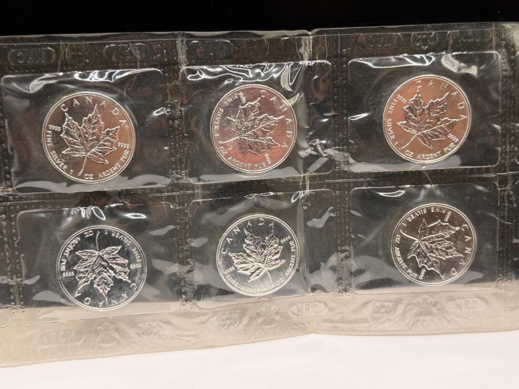 10 UNCIRCULATED 2001 ELIZABETH II CANADIAN SILVER $5 MAPLE LEAFS - 7