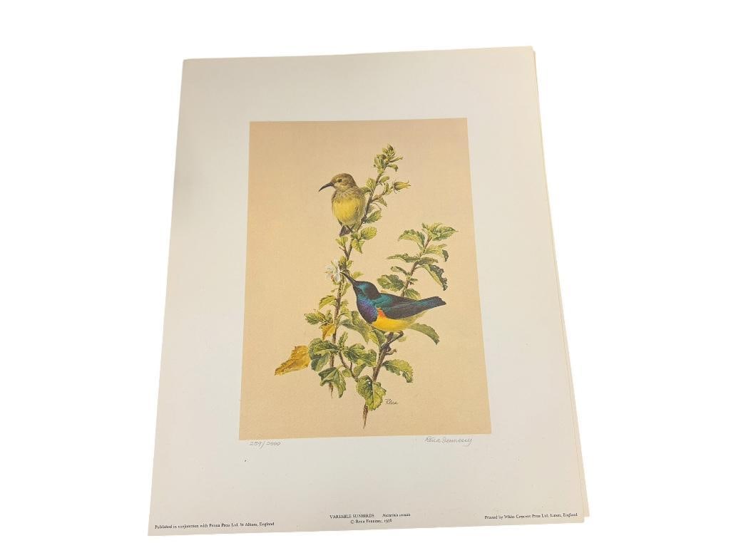 RENA FENNESSY BRITISH ARTIST AFRICAN BIRD PRINTS SET OF FOUR: EAC PRINT IS SIGNED AND NUMBERED 12 1/2" X 15 1/2"