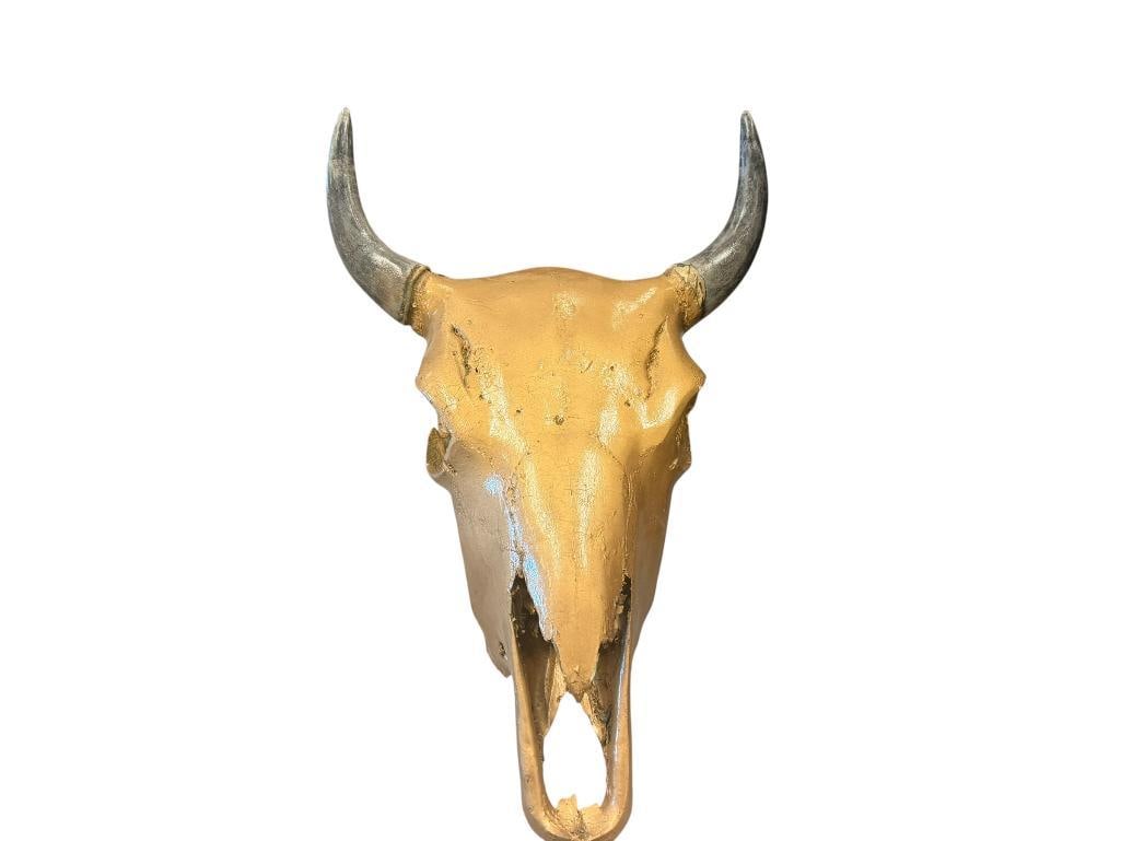 YOUNG STEER SKULL WITH SMALL HORNS PAINTED IN GOLD: 19" L