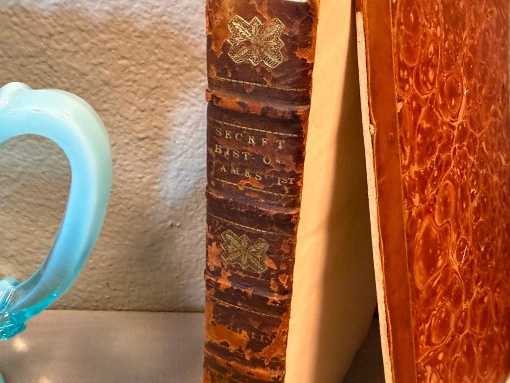 1811 SECRET HISTORY OF THE COURT OF JAMES THE FIRST BY SIR WALTER SCOTT 2 VOL. SET - 8