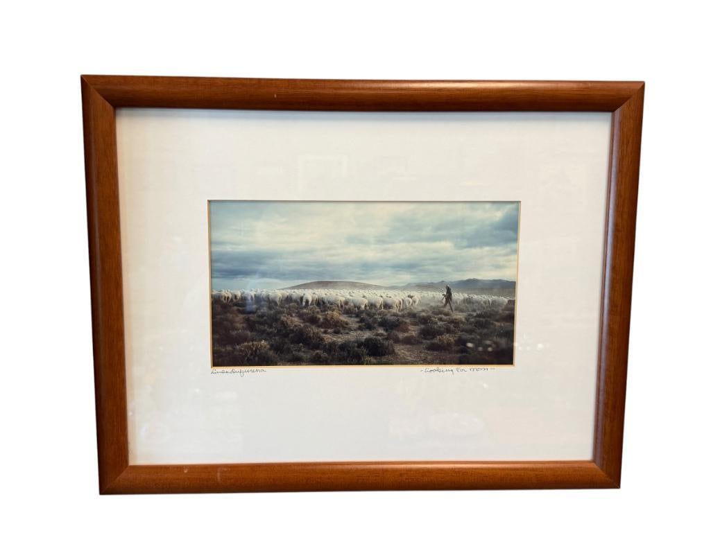LINDA DUFFERENA WINNEMUCCA, NEVADA PHOTOGRAPHER COLOR PHOTOGRAPH TITLED LOOKING FOR MOM (1 of 9)