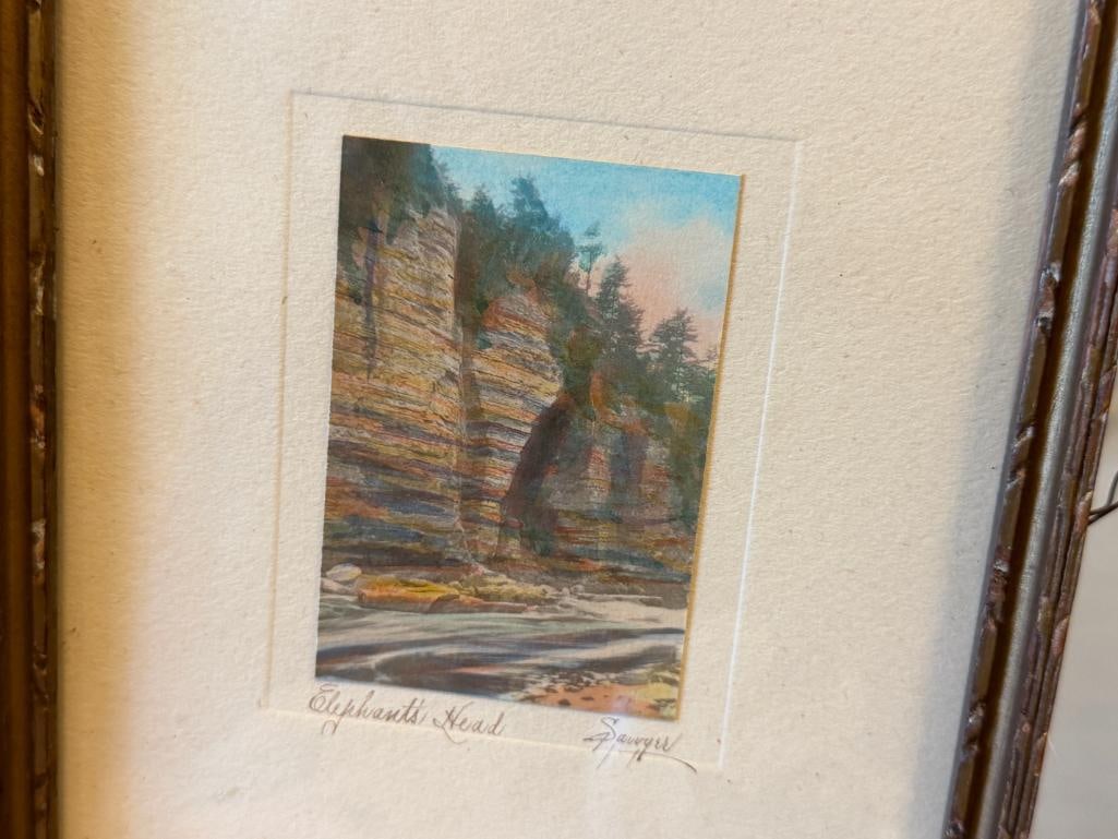 CHARLES H. SAWYER AMERICAN PHOTOGRAPHER HAND COLORED ANTIQUE PHOTOGRAPH ELEPHANT HEAD IN ARIZONA - 2