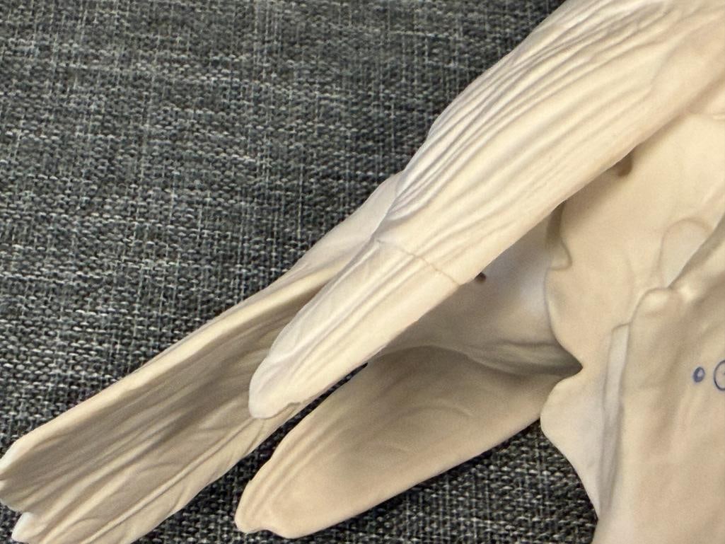 GOEBEL BISQUE PORCELAIN SONG THRUSH BIRD CV115 AND GOEBEL BLUE JAY ON SUNFLOWER 38527 - 16