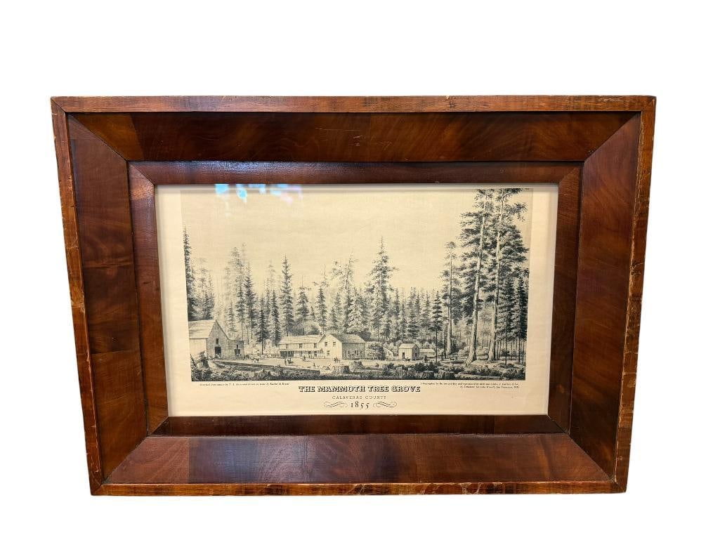 T.A. AYERS / KUCHEL & DRESEL THE MAMMOTH TREE GROVE PRINT CALAVERAS COUNTY: LITHOGRAPHED BY BRITTON & REY, A. CARLISLE & CO., FRAMED 23" X 16" FRAME