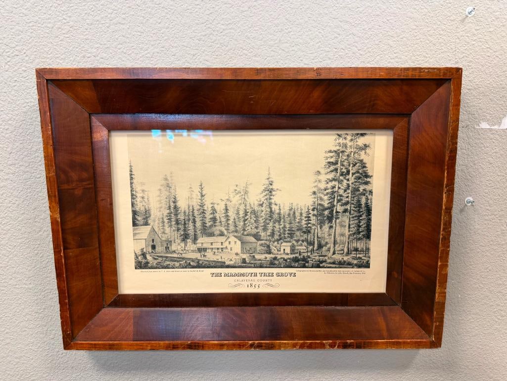T.A. AYERS / KUCHEL & DRESEL THE MAMMOTH TREE GROVE PRINT CALAVERAS COUNTY - 2