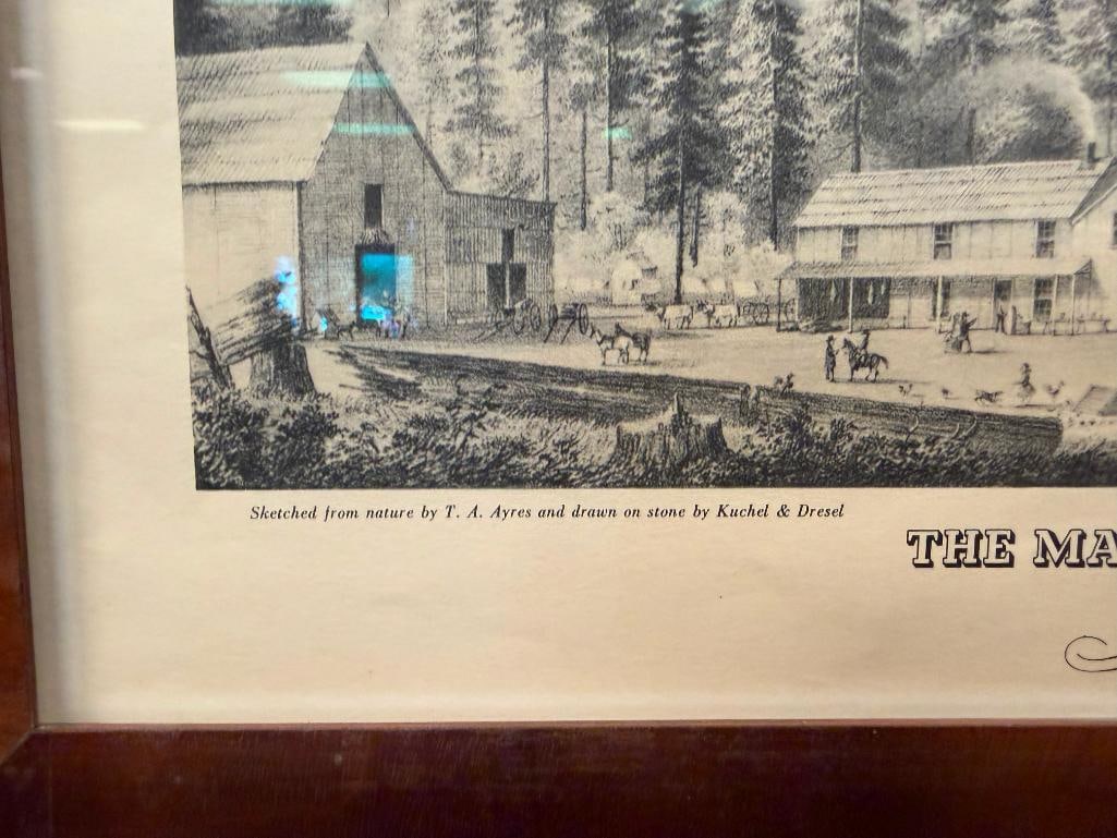 T.A. AYERS / KUCHEL & DRESEL THE MAMMOTH TREE GROVE PRINT CALAVERAS COUNTY - 5
