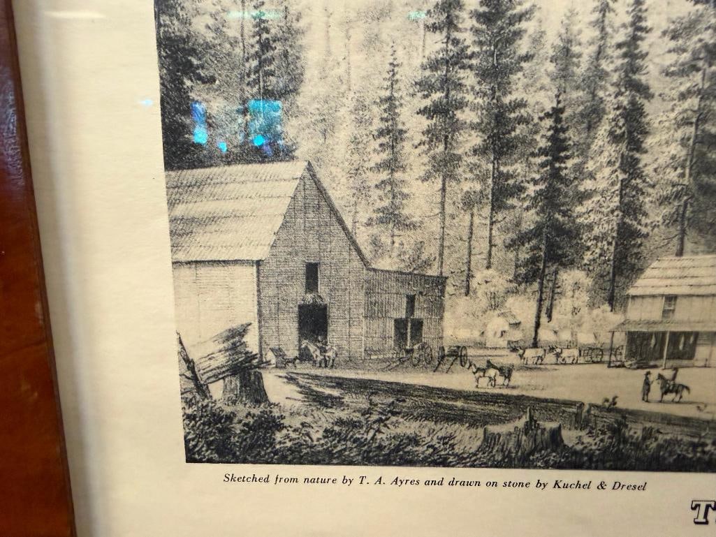 T.A. AYERS / KUCHEL & DRESEL THE MAMMOTH TREE GROVE PRINT CALAVERAS COUNTY - 7