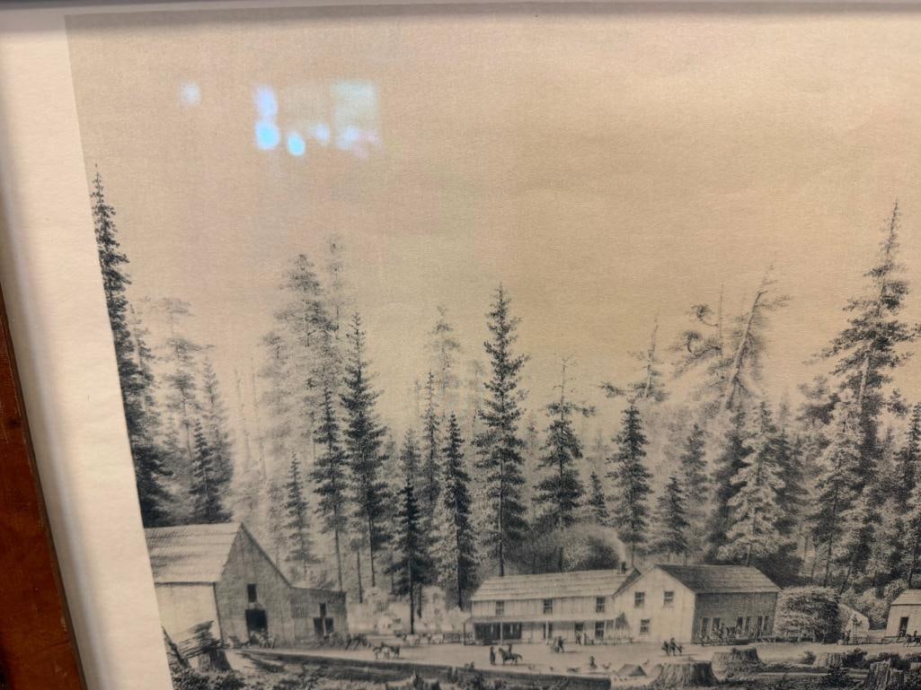 T.A. AYERS / KUCHEL & DRESEL THE MAMMOTH TREE GROVE PRINT CALAVERAS COUNTY - 8