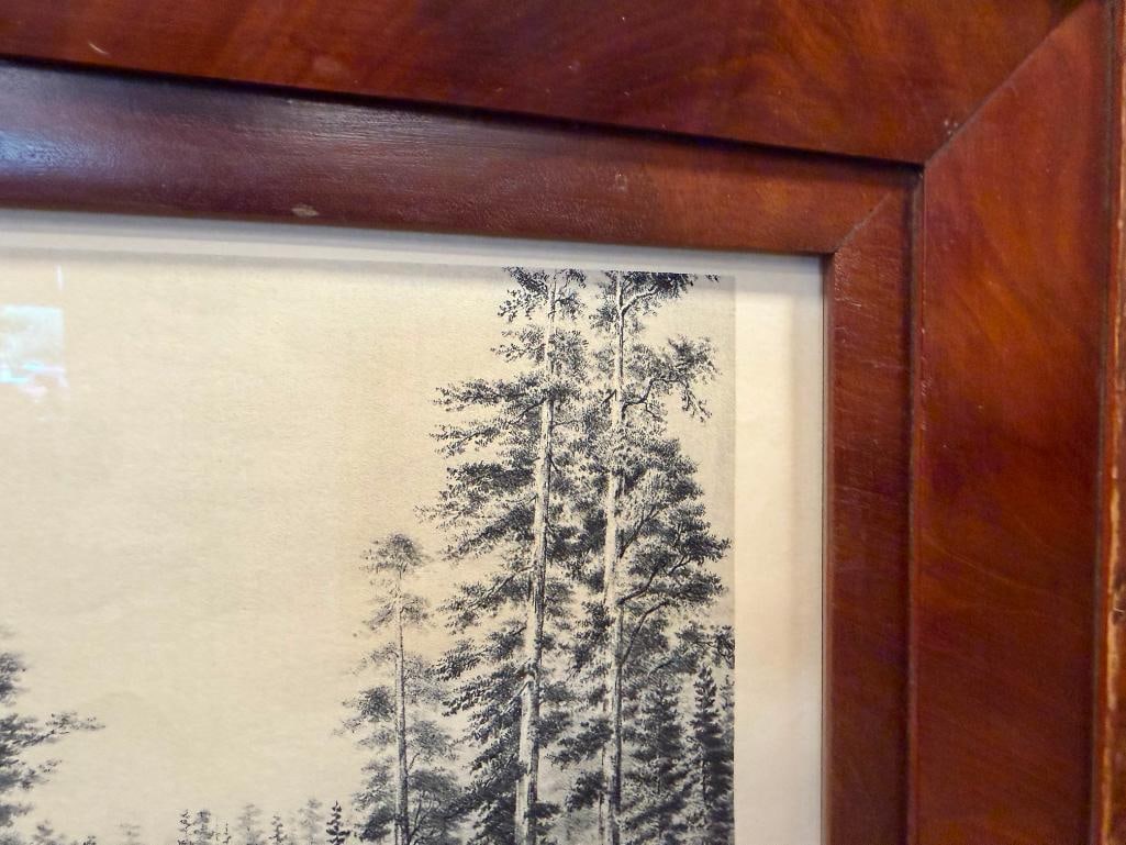 T.A. AYERS / KUCHEL & DRESEL THE MAMMOTH TREE GROVE PRINT CALAVERAS COUNTY - 9