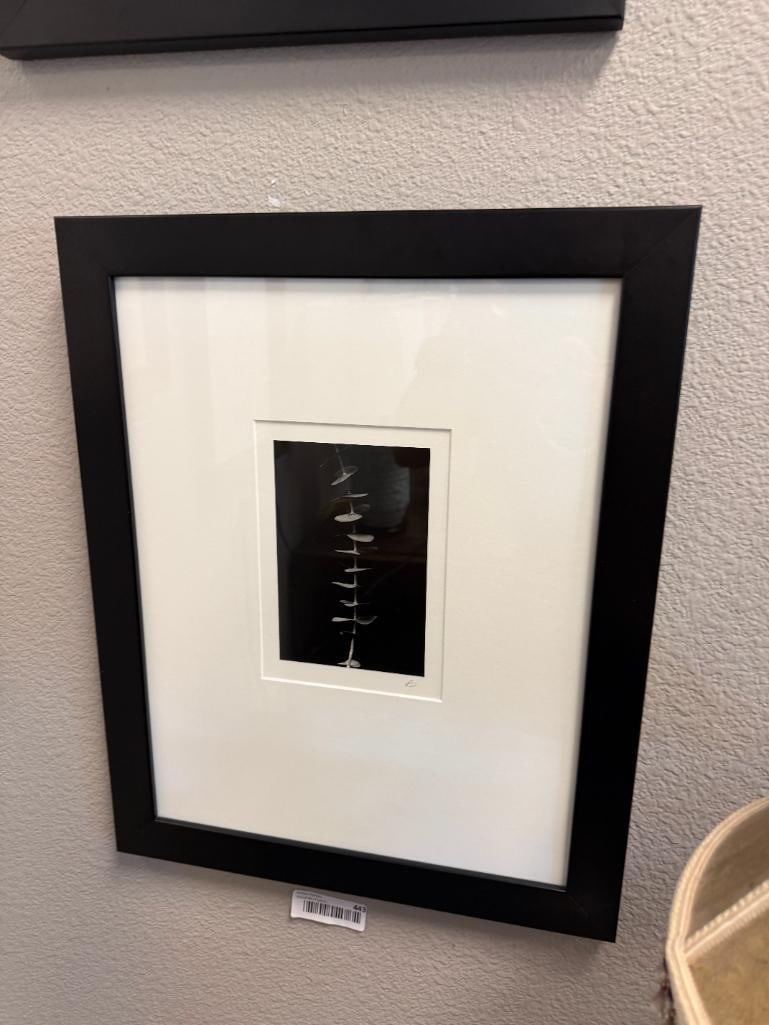 SET OF THREE BLACK AND WHITE MINIMALIST BOTANICAL PHOTOGRAPHS SIGNED - 12