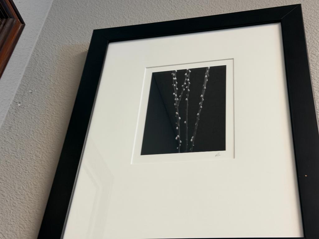 SET OF THREE BLACK AND WHITE MINIMALIST BOTANICAL PHOTOGRAPHS SIGNED - 18