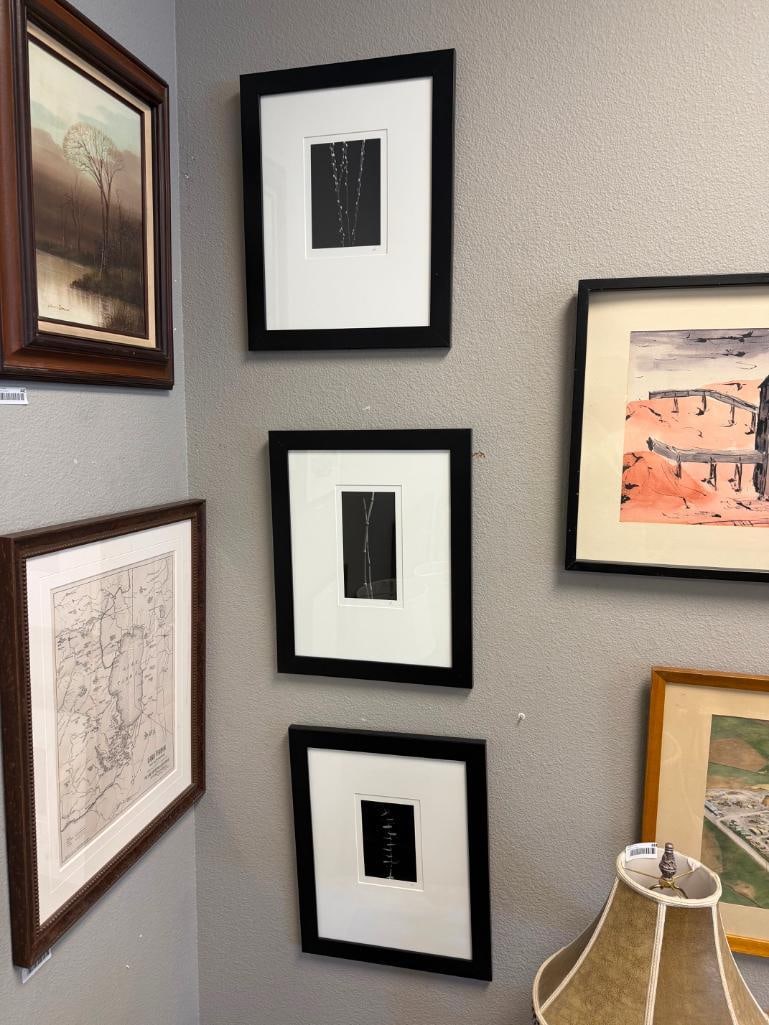 SET OF THREE BLACK AND WHITE MINIMALIST BOTANICAL PHOTOGRAPHS SIGNED - 2
