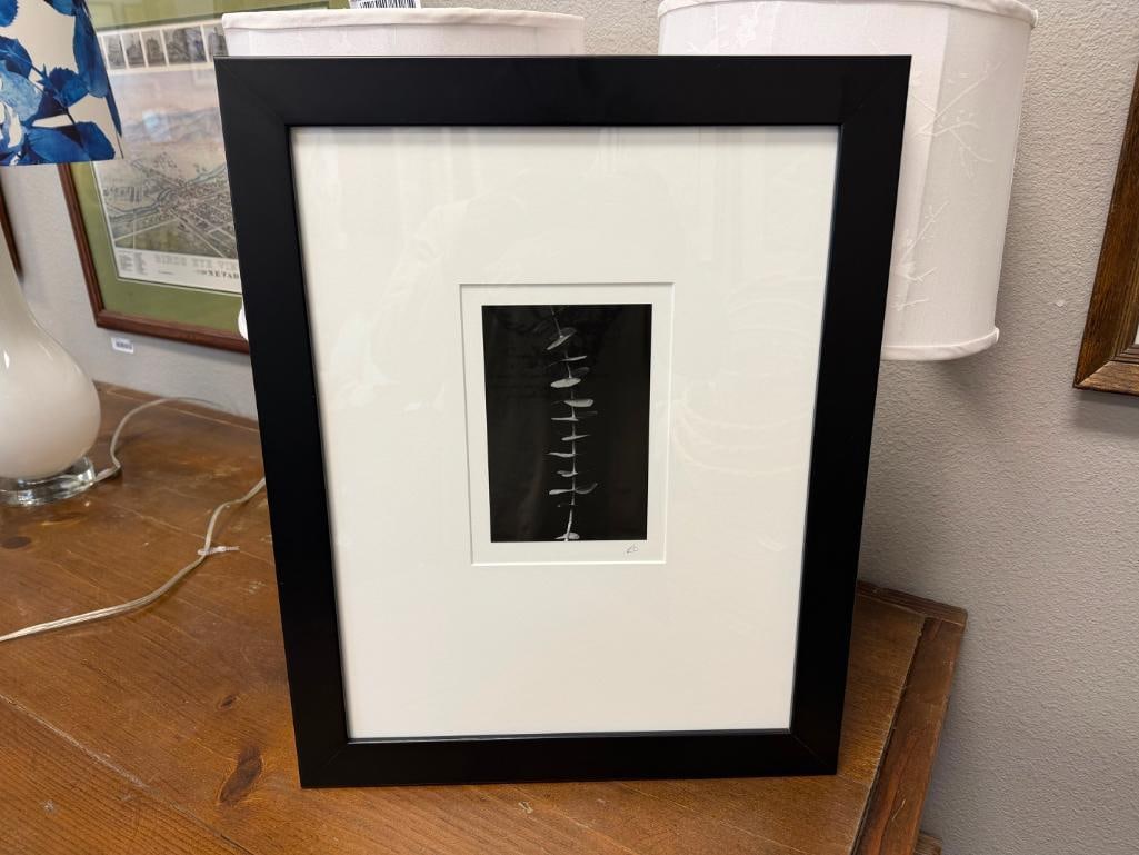 SET OF THREE BLACK AND WHITE MINIMALIST BOTANICAL PHOTOGRAPHS SIGNED - 3
