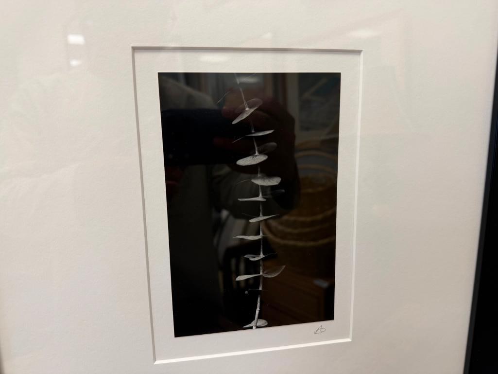 SET OF THREE BLACK AND WHITE MINIMALIST BOTANICAL PHOTOGRAPHS SIGNED - 4
