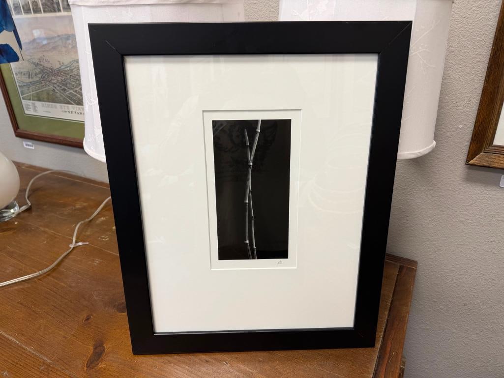 SET OF THREE BLACK AND WHITE MINIMALIST BOTANICAL PHOTOGRAPHS SIGNED - 7