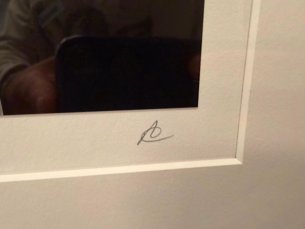 SET OF THREE BLACK AND WHITE MINIMALIST BOTANICAL PHOTOGRAPHS SIGNED - 8