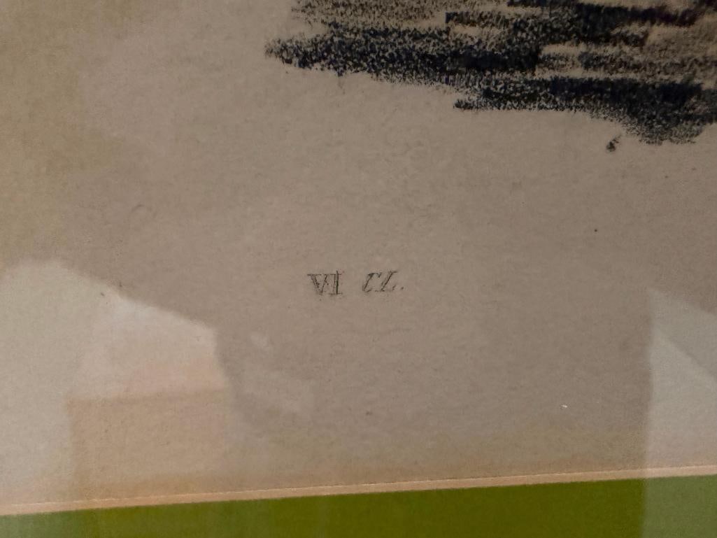 19TH CENTURY ANTIQUE BOTANICAL PRINT " AMARYLLIS ANTICA " VAN GEEL AND JOSEPH DRAPIEZ - 6