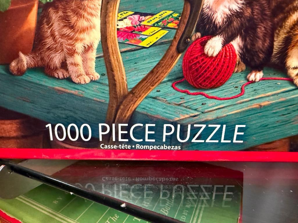 FIVE 1,000 PIECE PUZZLES INCLUDING THREE BY WHITE MOUNTAIN, STAR TREK CATS, AND CHARLES WYSOCKI - 10
