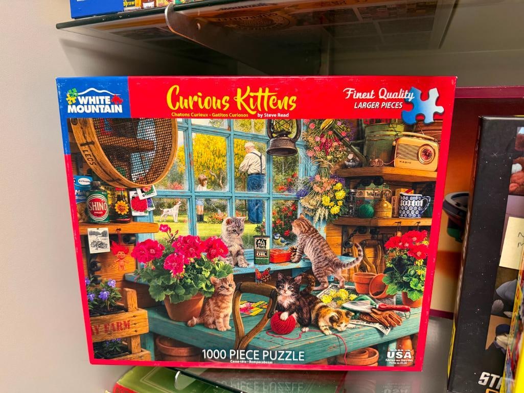FIVE 1,000 PIECE PUZZLES INCLUDING THREE BY WHITE MOUNTAIN, STAR TREK CATS, AND CHARLES WYSOCKI - 9