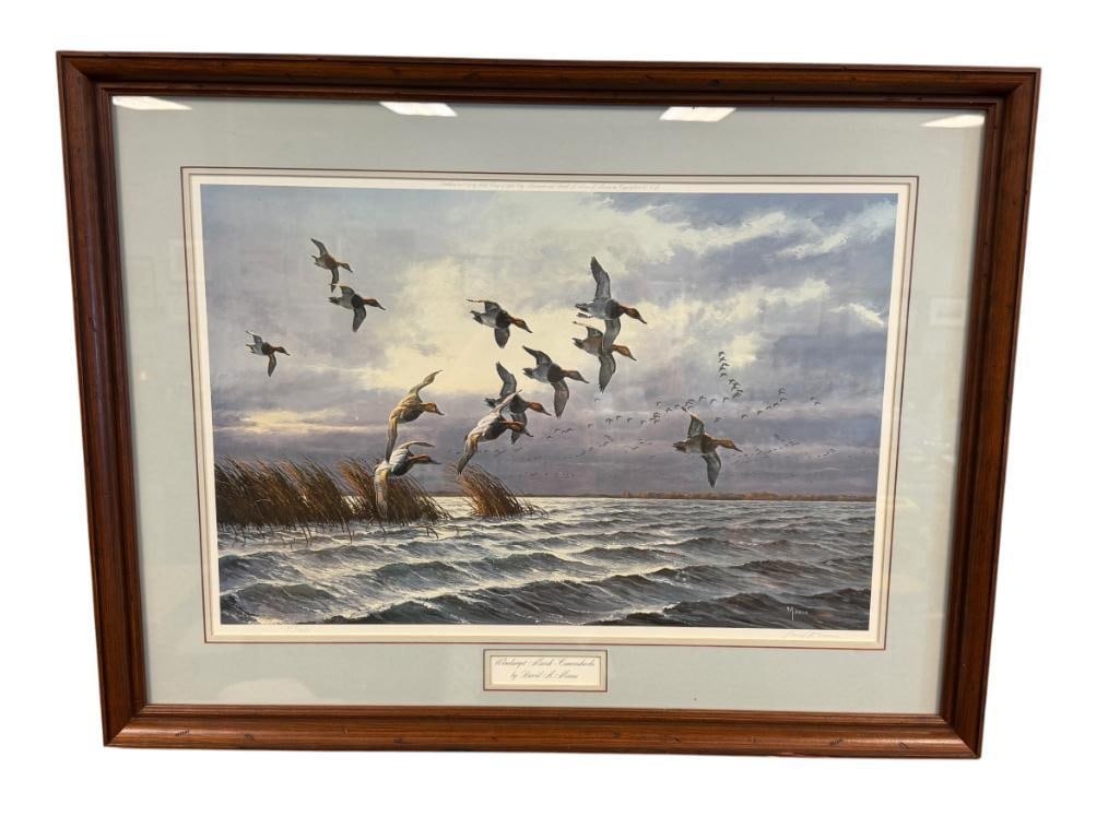 DAVID A. MAASS AMERICAN WILDLIFE ARTIST LIMITED EDITION PRINT WINDSWEPT MARSH CANVASBACKS 387/950: ART DEPICTS CANVASBACK DUCKS FLYING OVER A MARSH, SIGNED LOWER RIGHT, ARTIST INFO ON THE BACK, FRAMED 33" X 25" FRAME