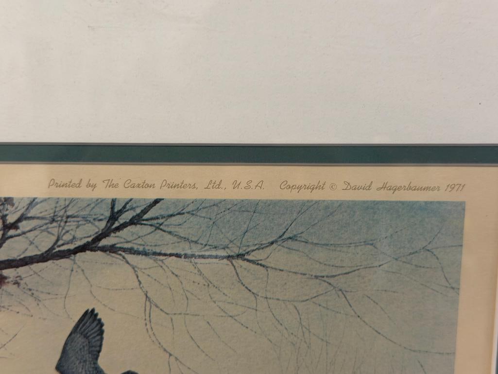 DAVID HAGERBAUMER WILDLIFE ARTIST LIMITED EDITION PRINT THE NARROWS - WOOD DUCK 132/450 - 10
